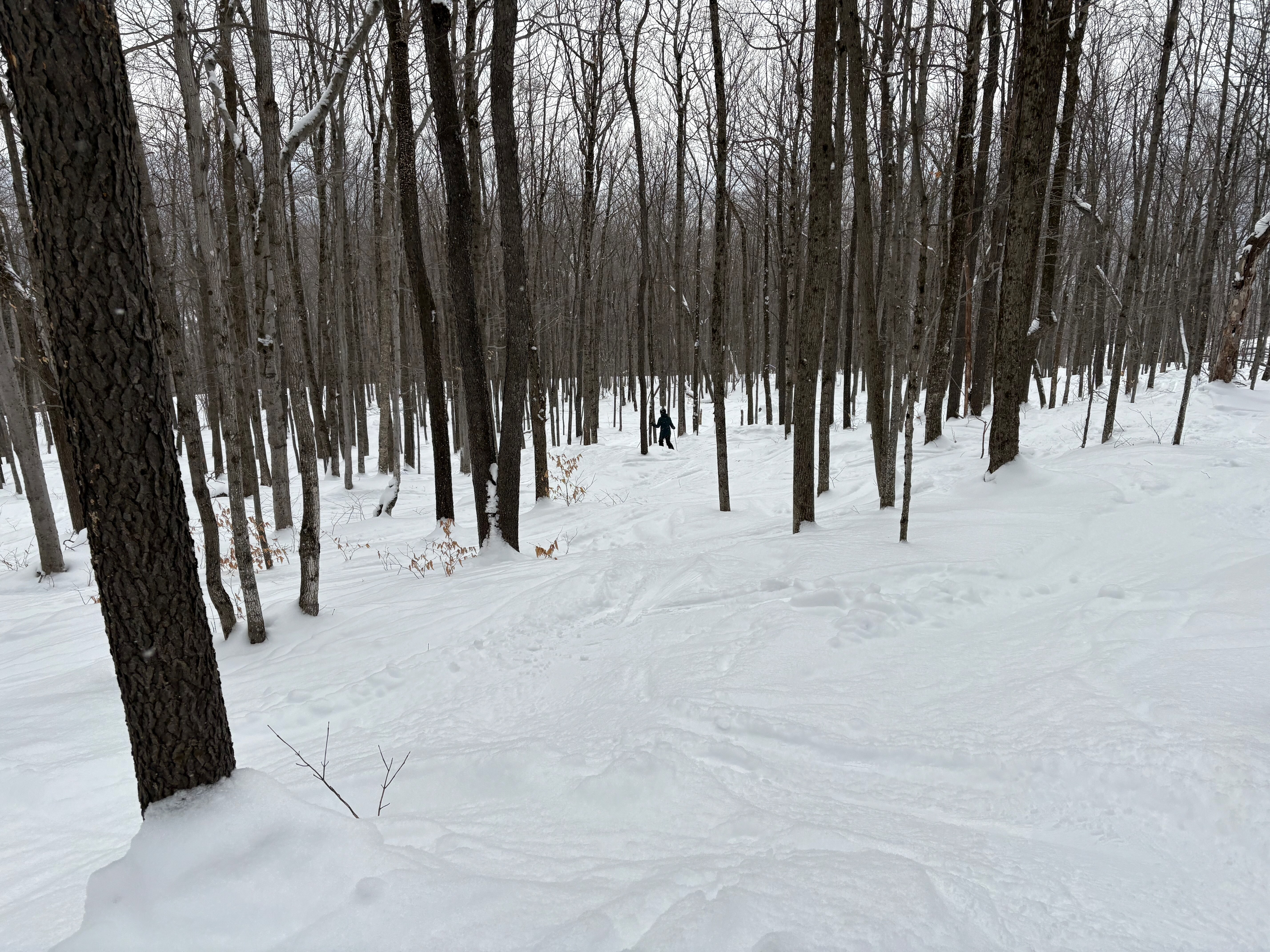 Broken Arrow - Trail of the Day