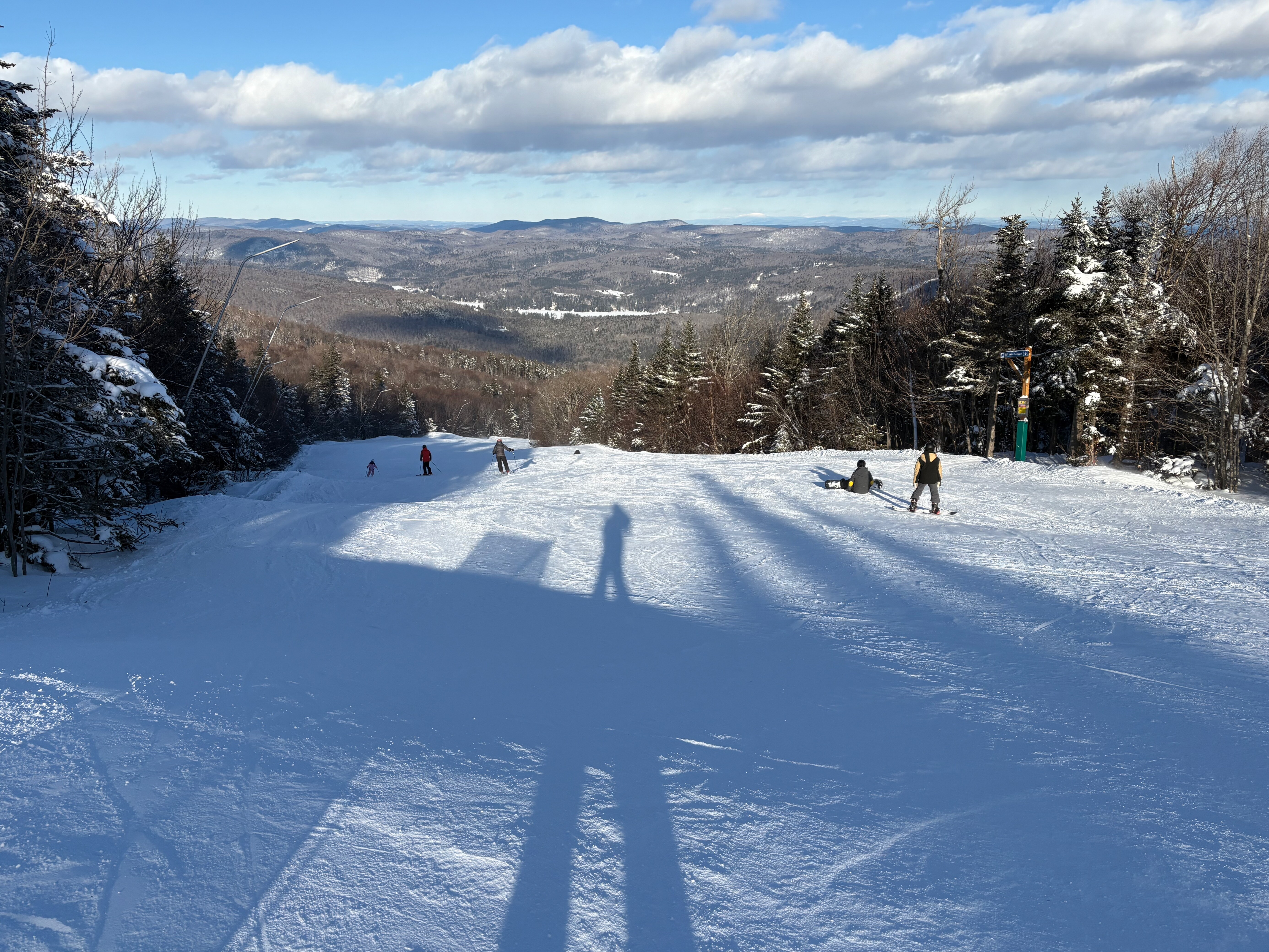 Coleman Brook - Trail of the Day