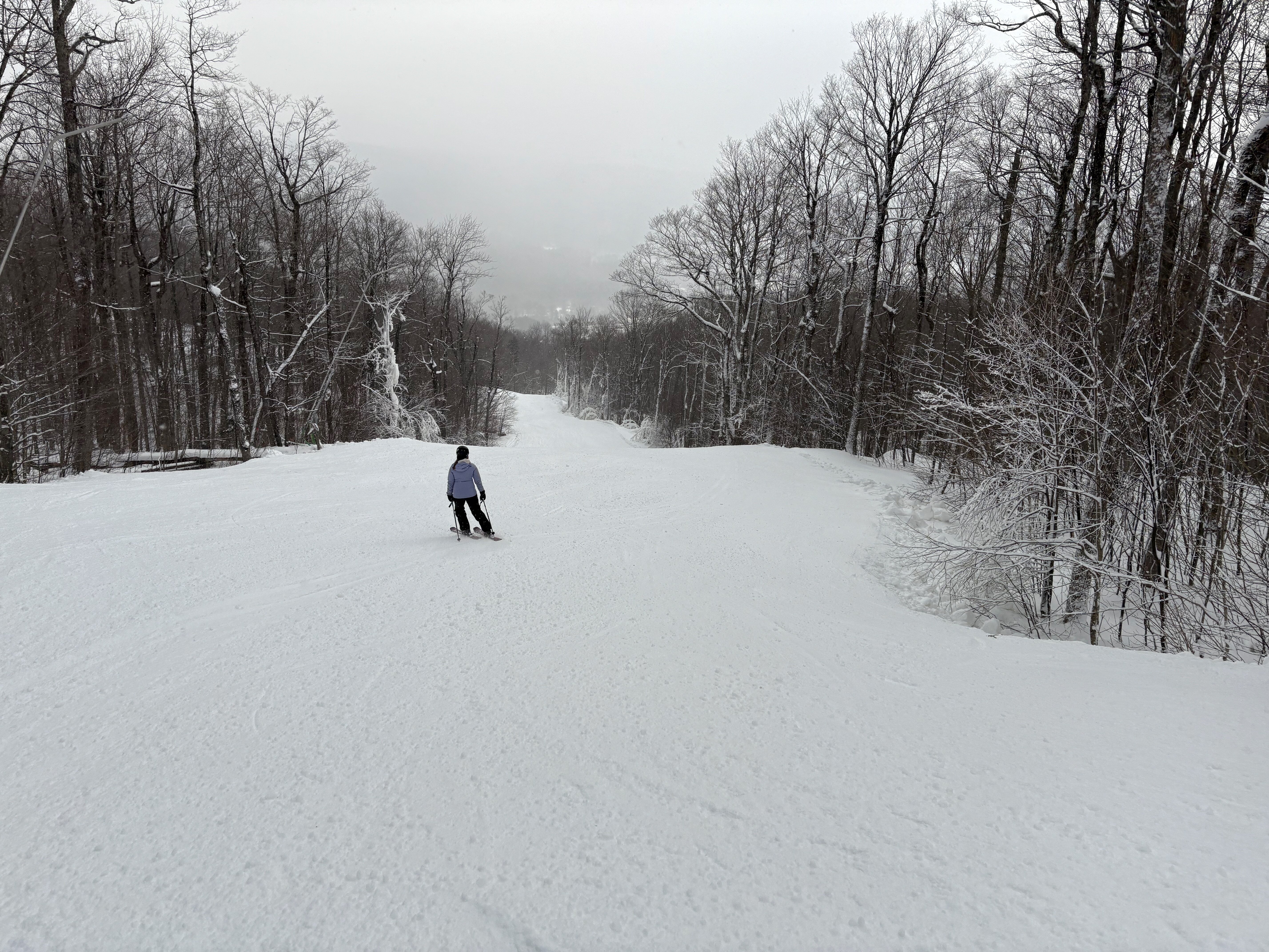 Eclipse - Trail of the Day