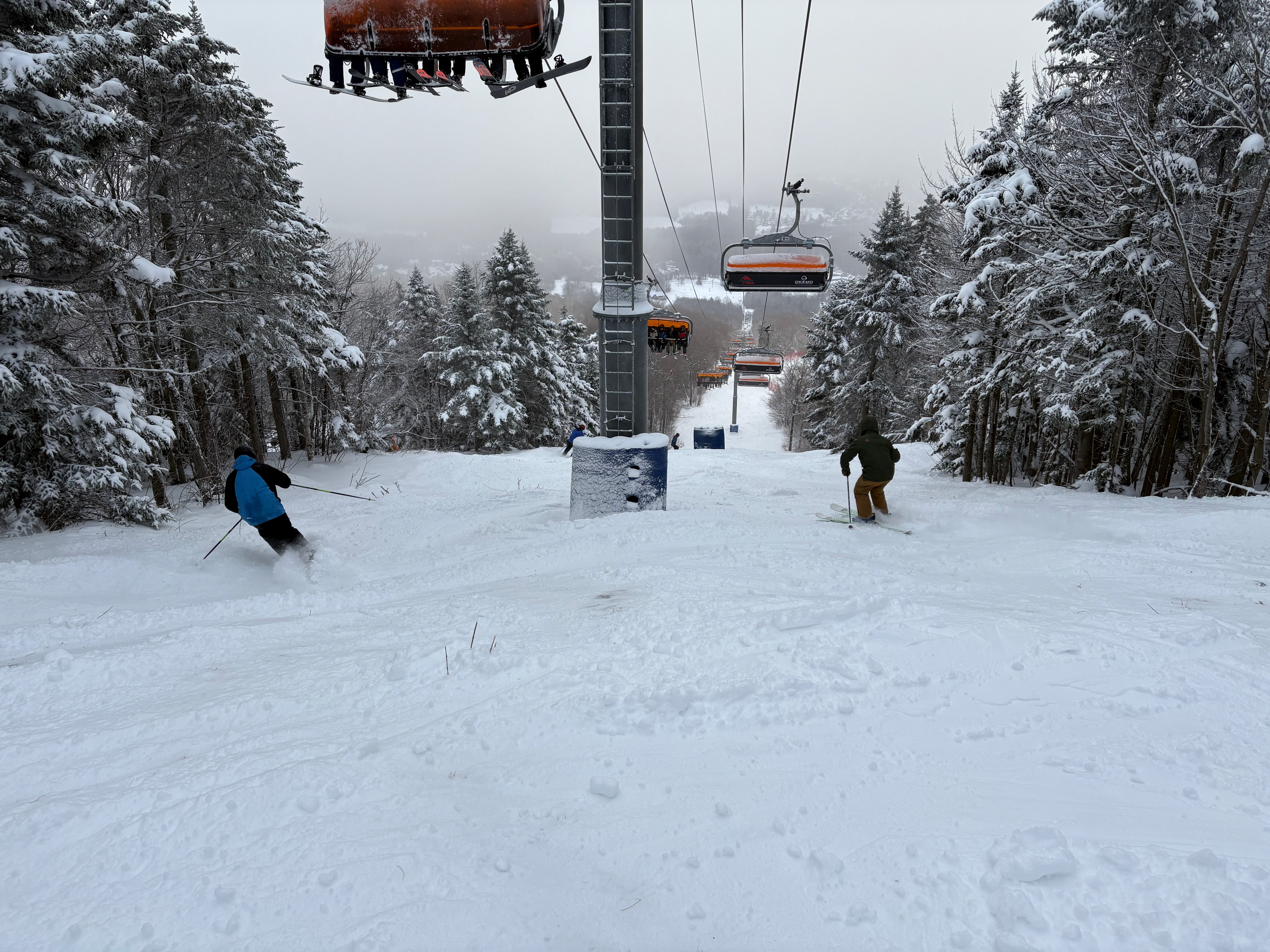 Fast Lane - Trail of the Day