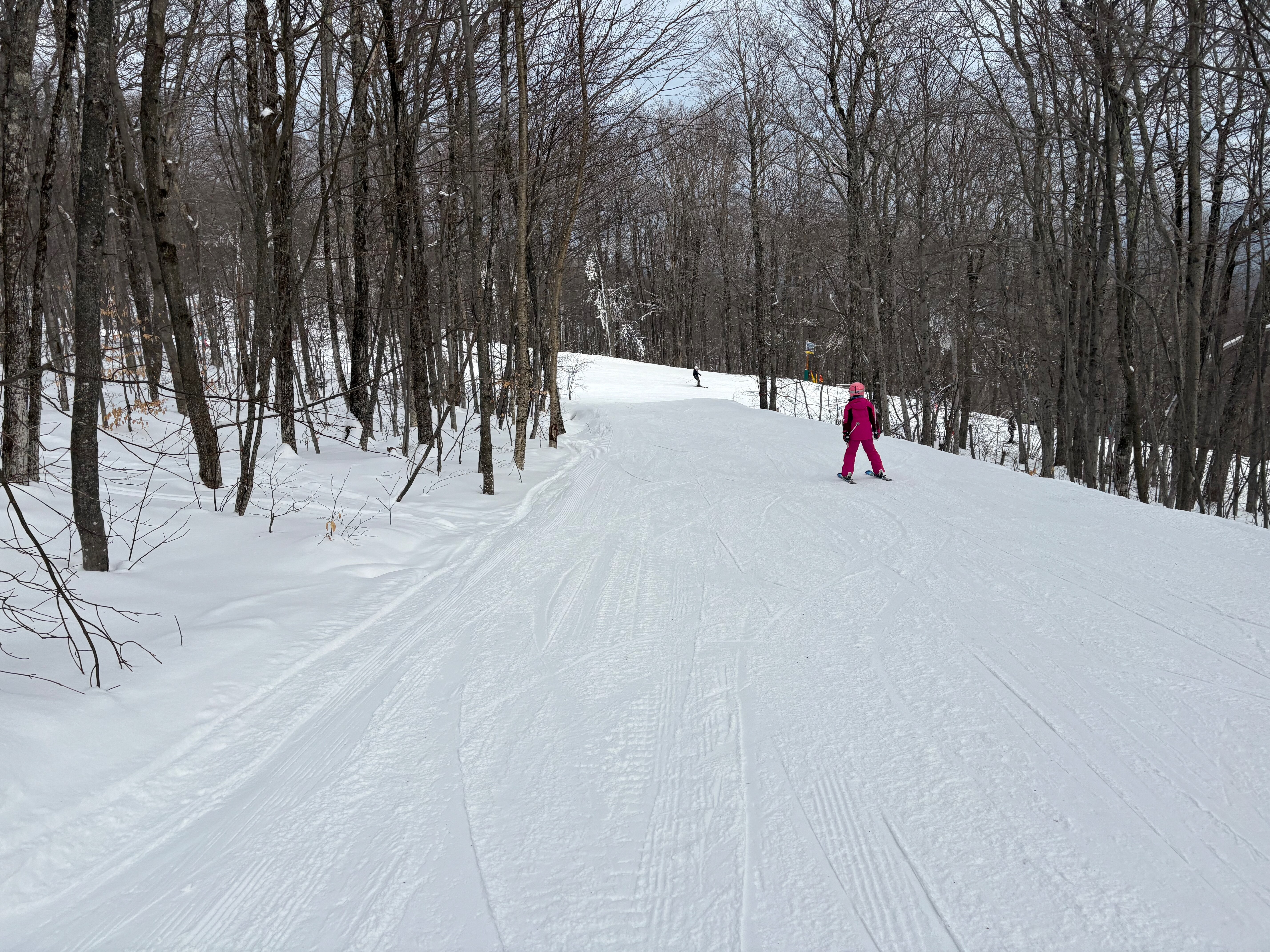 Green Link - Trail of the Day