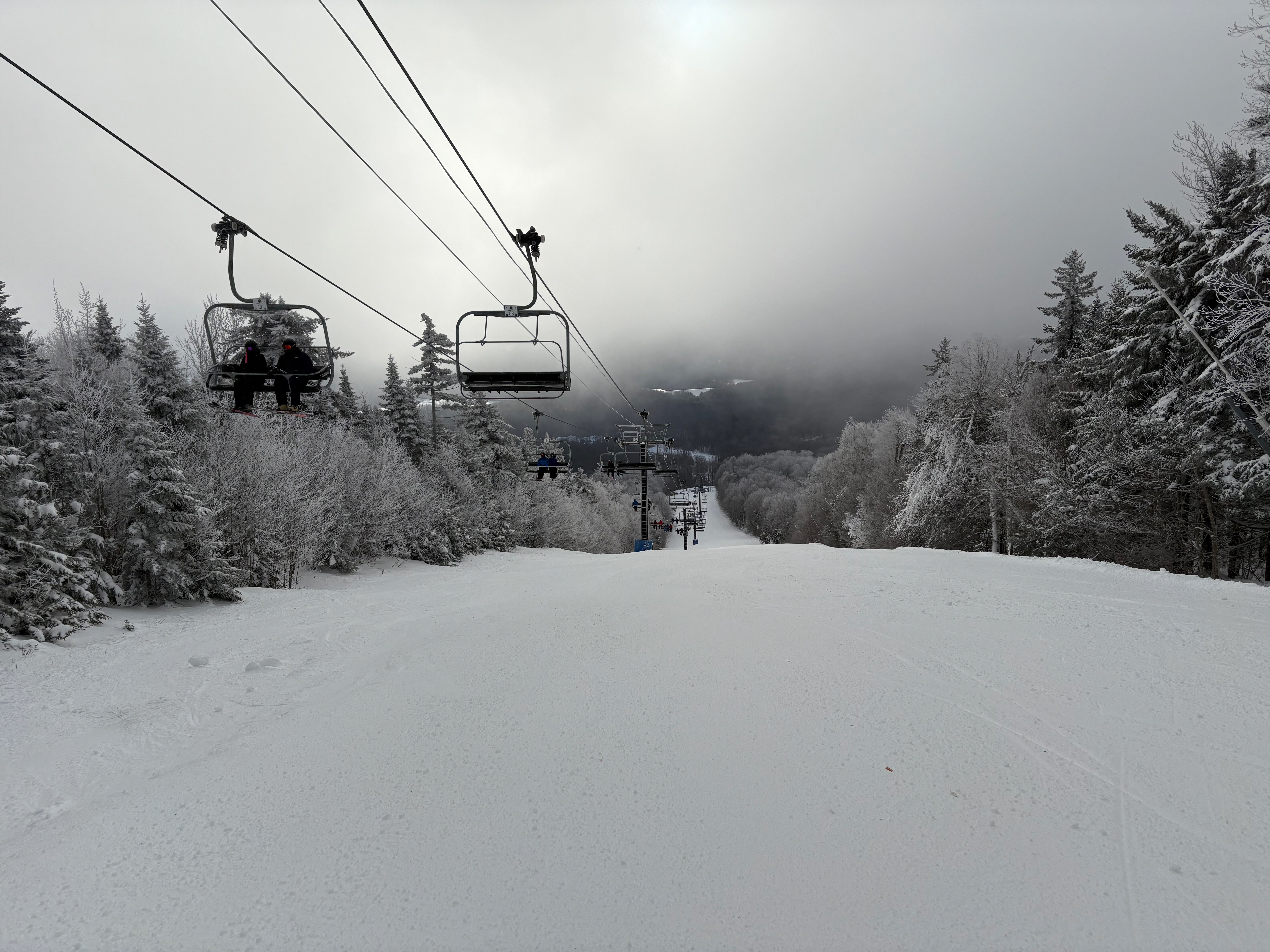 Lower Wild Thing - Trail of the Day