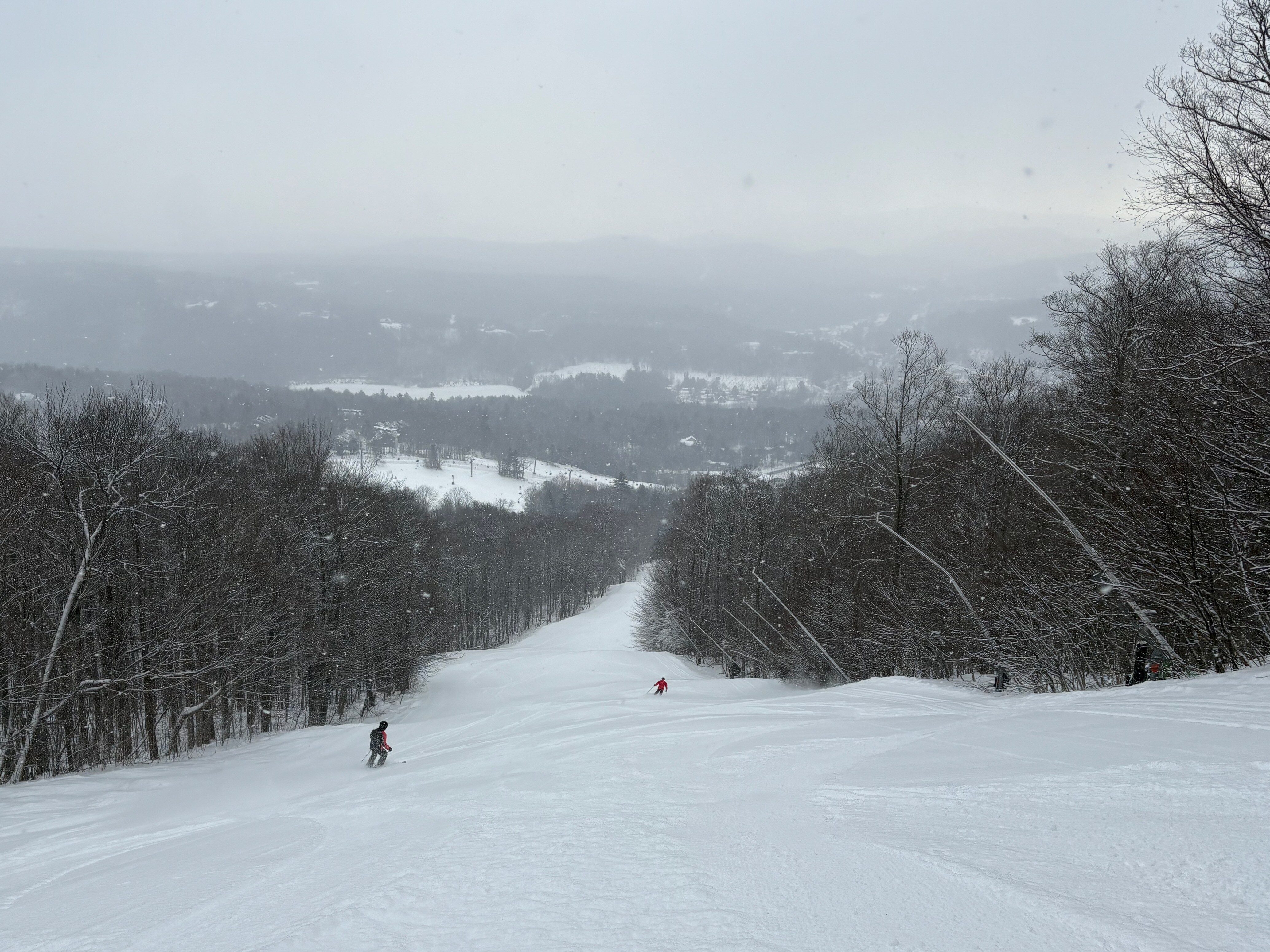 Lower World Cup - Trail of the Day