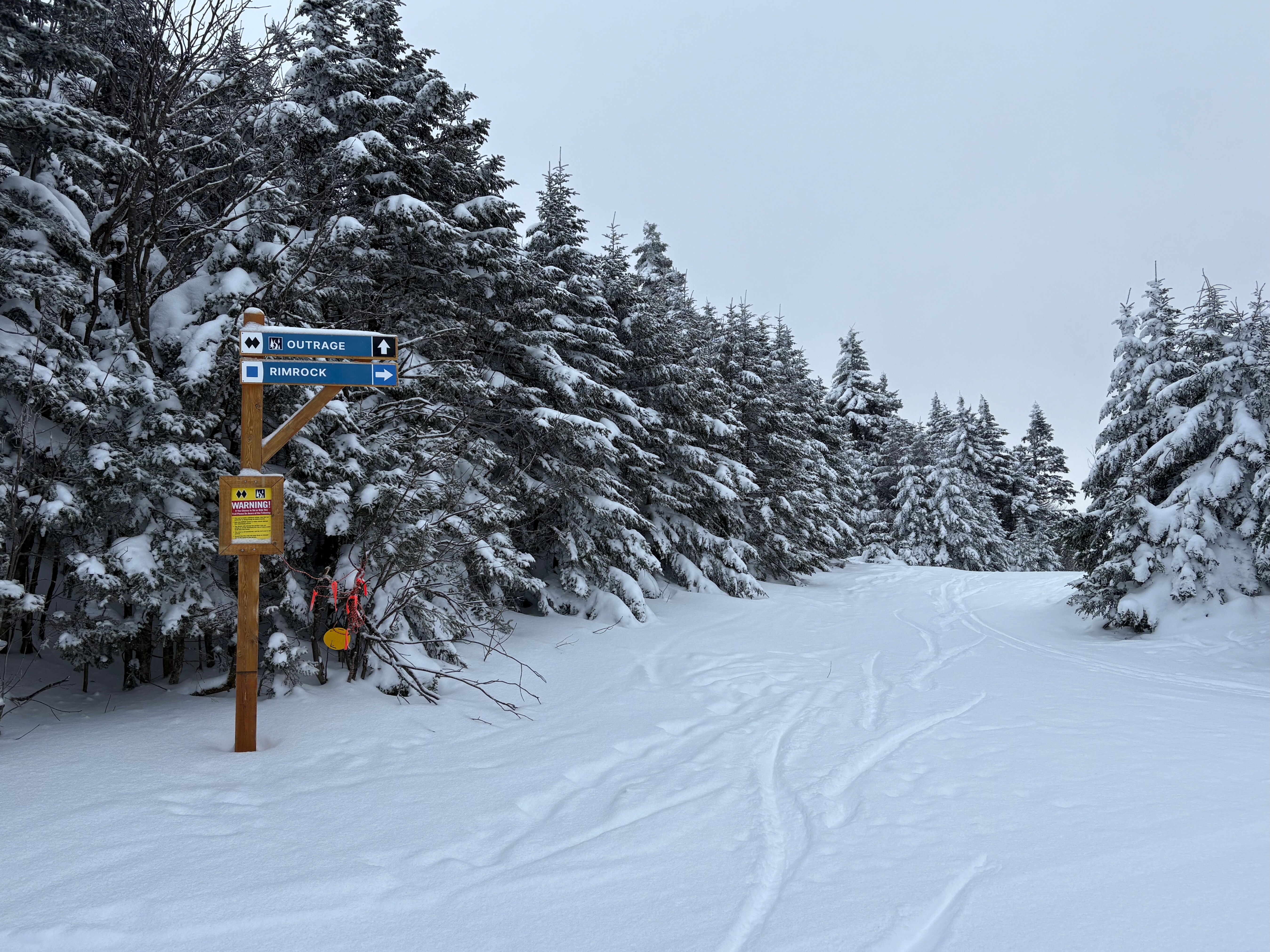 Outrage - Trail of the Day