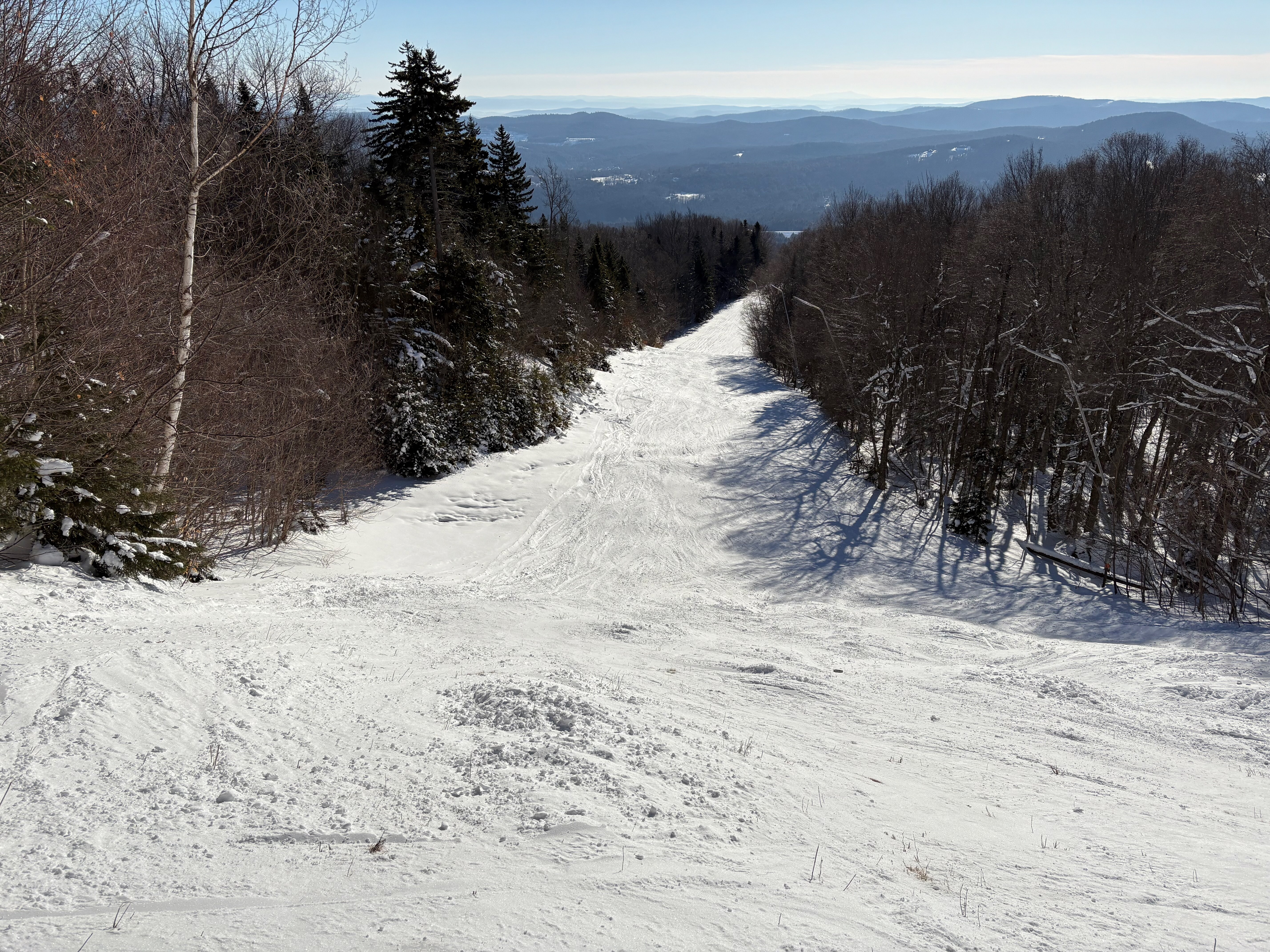 Punch Line - Trail of the Day