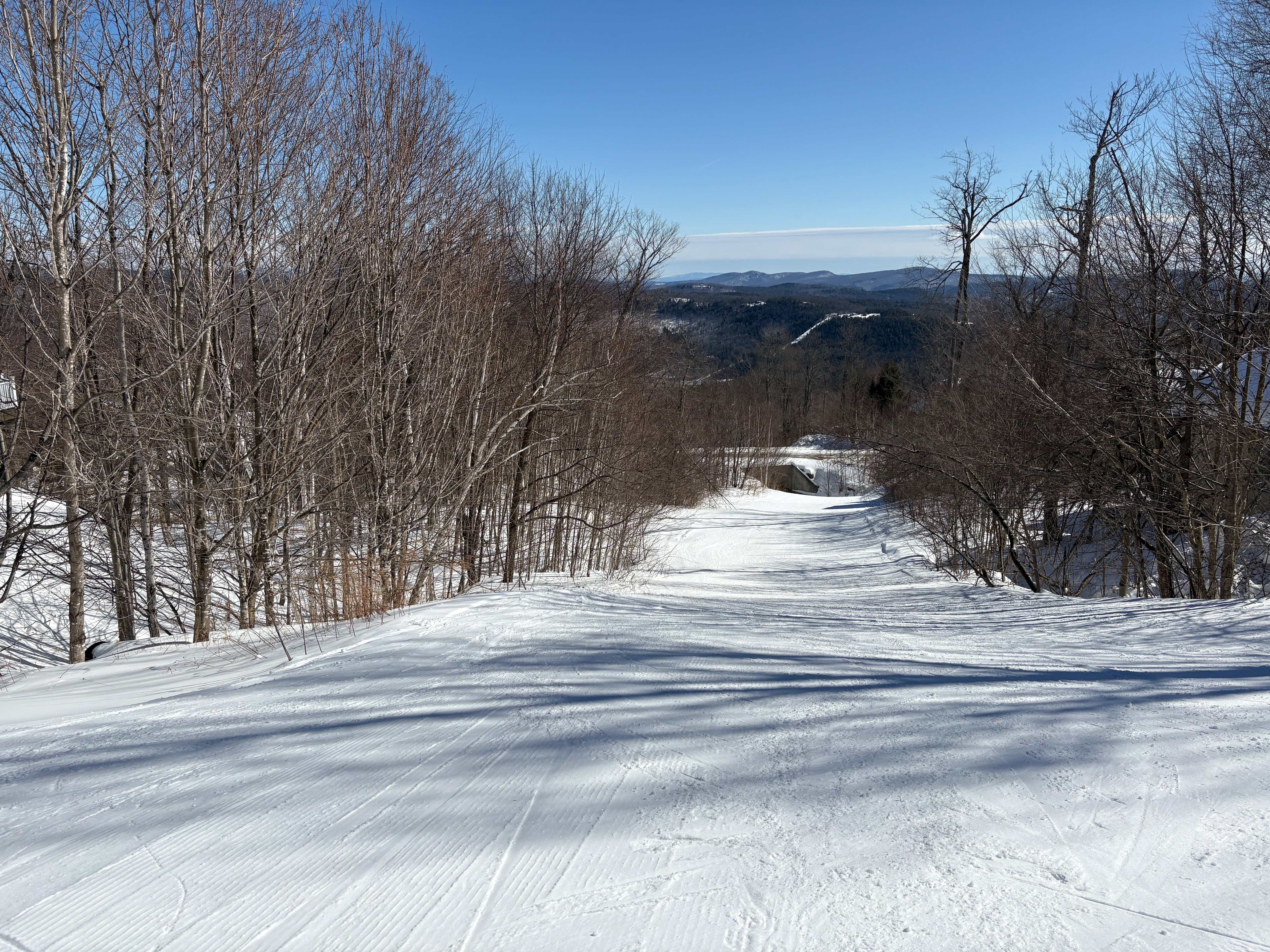 Rising Star - Trail of the Day