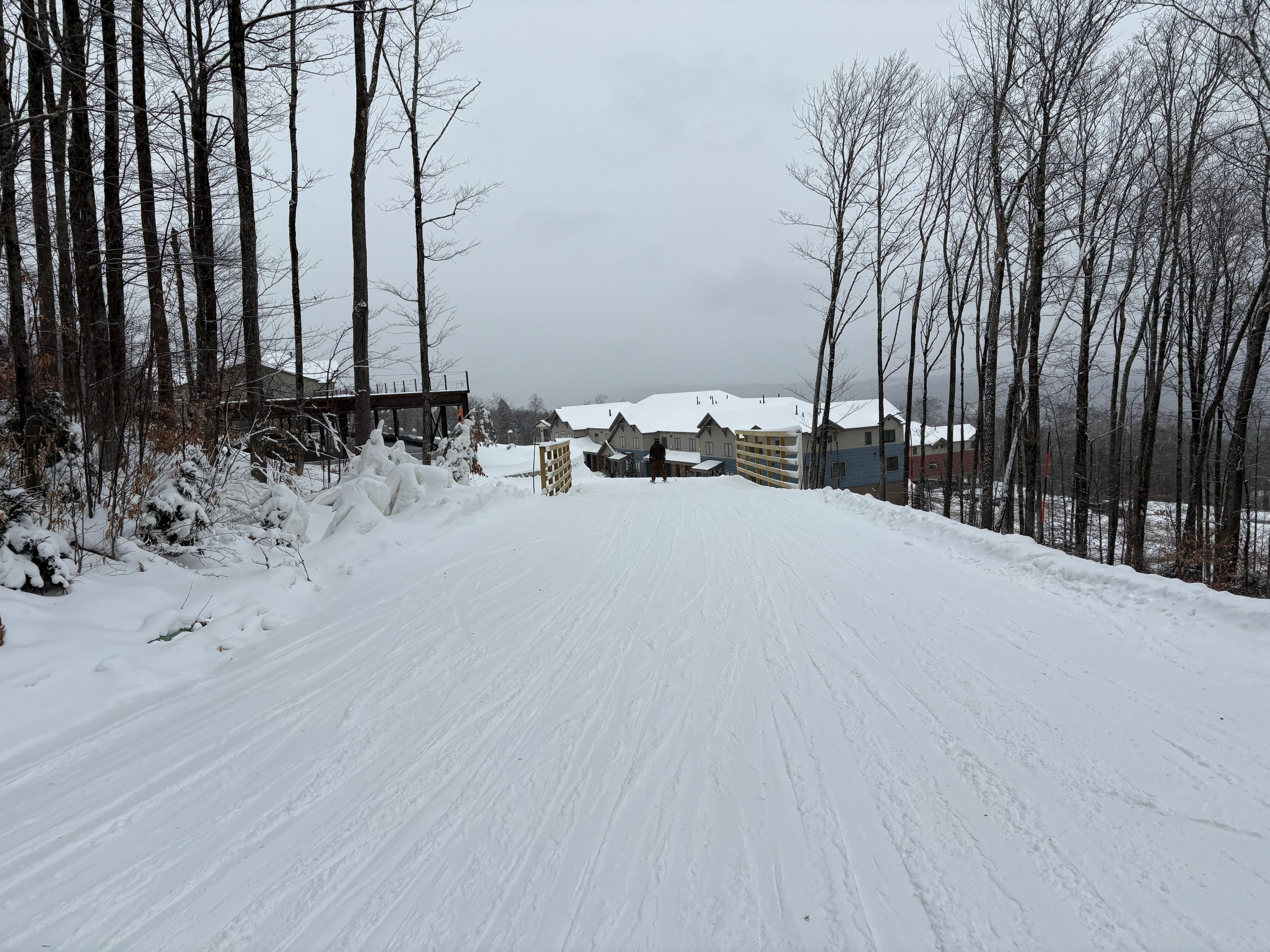 Rossi Run - Trail of the Day