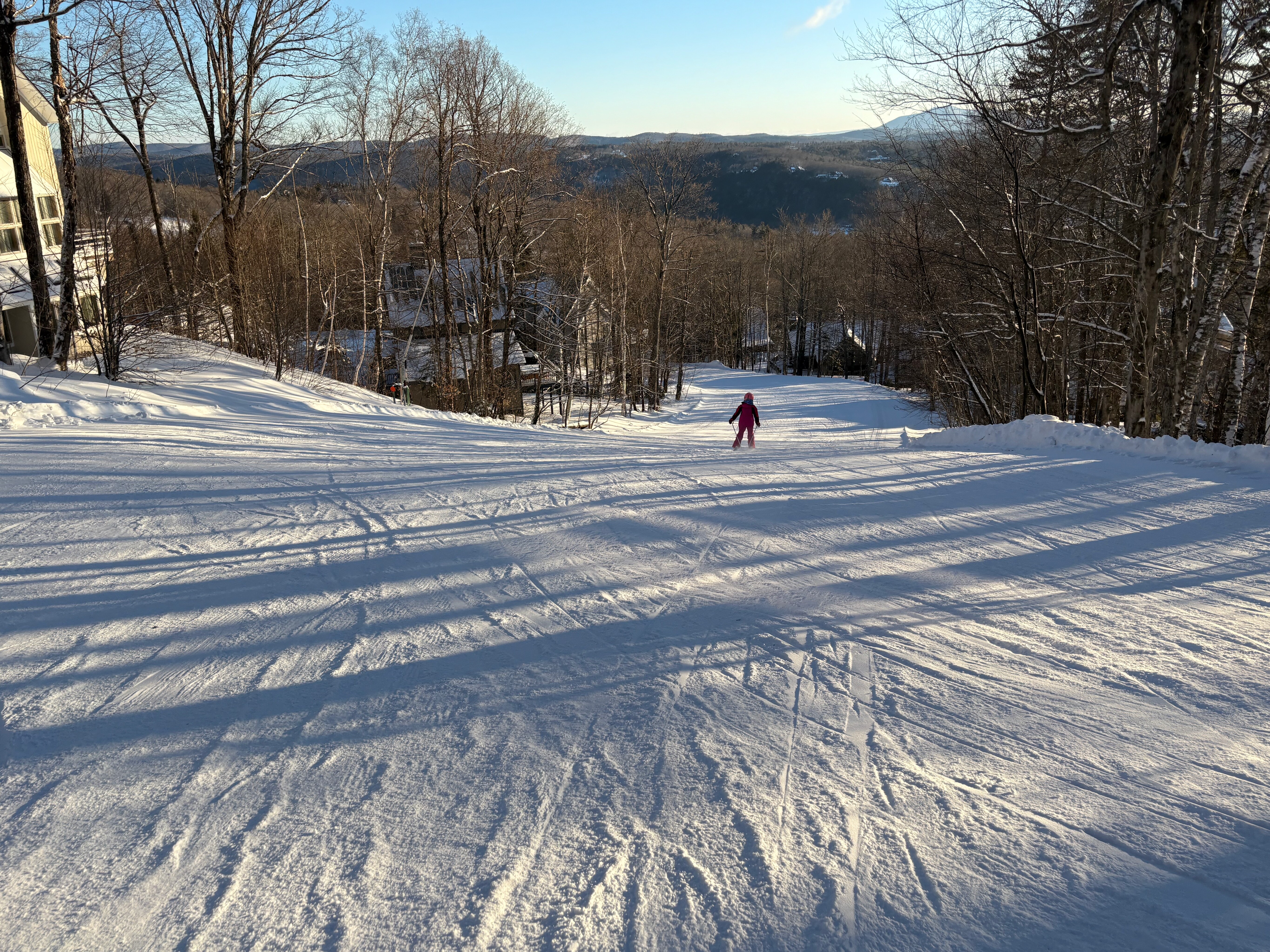 Sachem - Trail of the Day