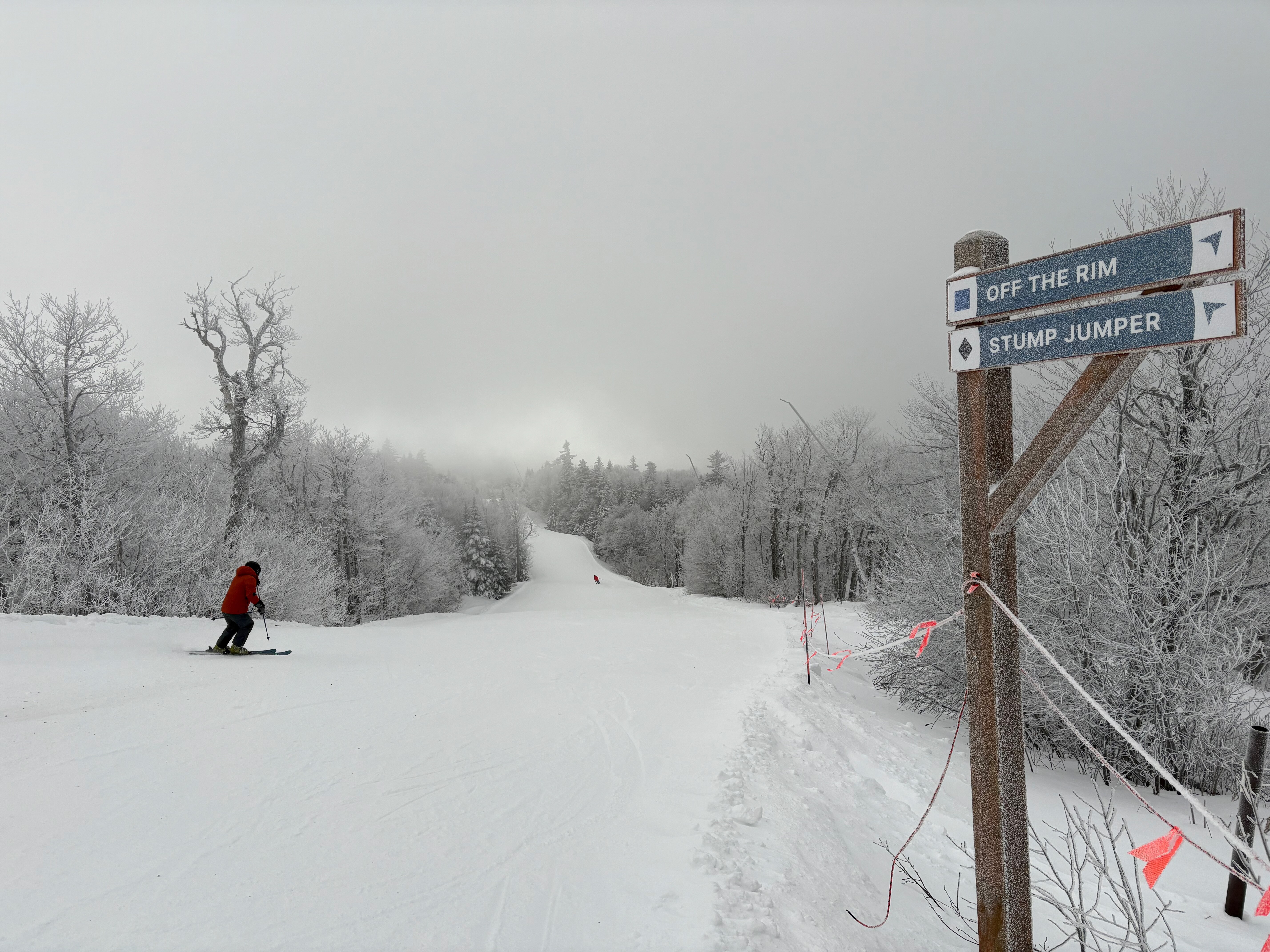 Stump Jumper - Trail of the Day