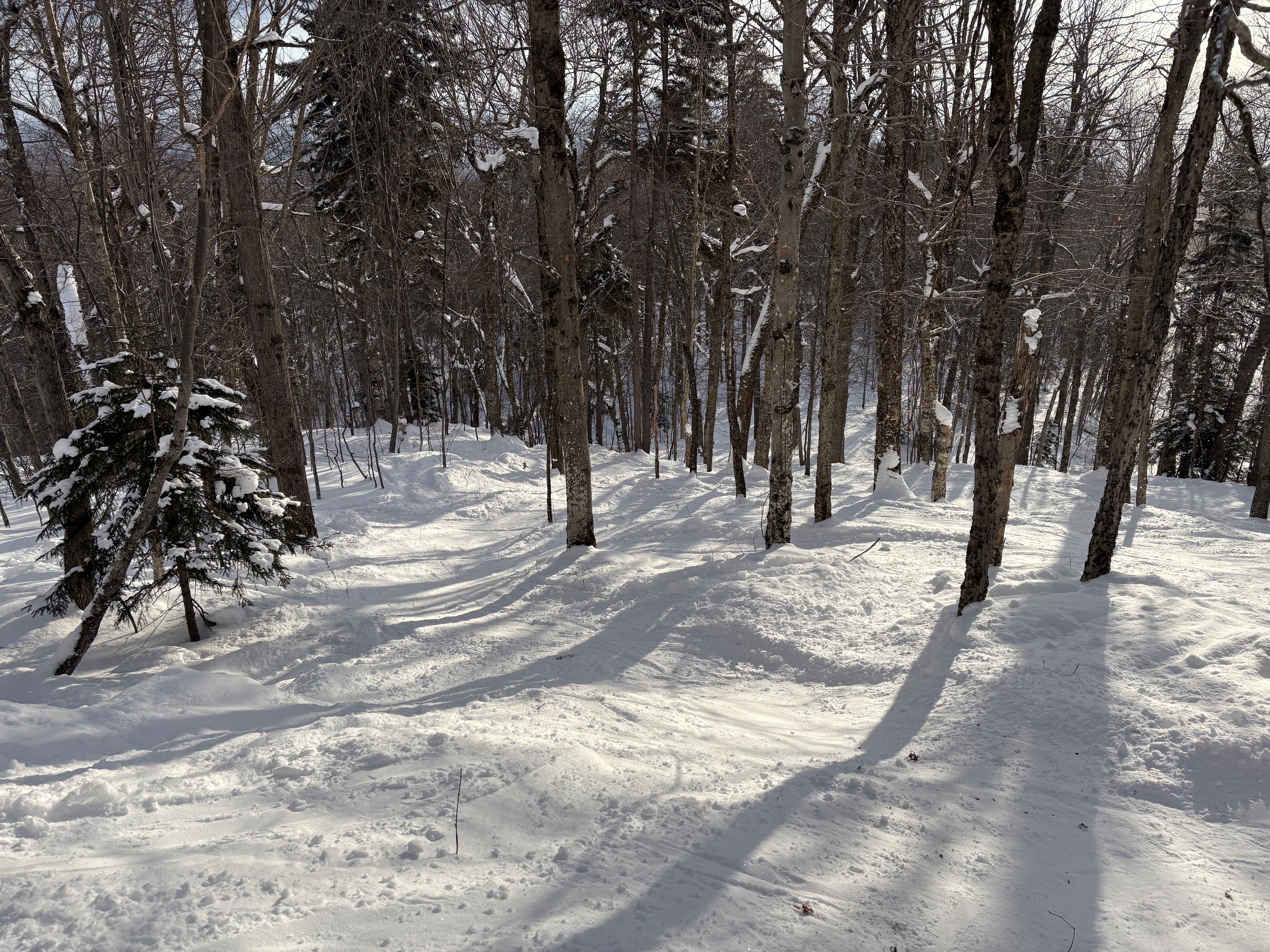 Supernova - Trail of the Day