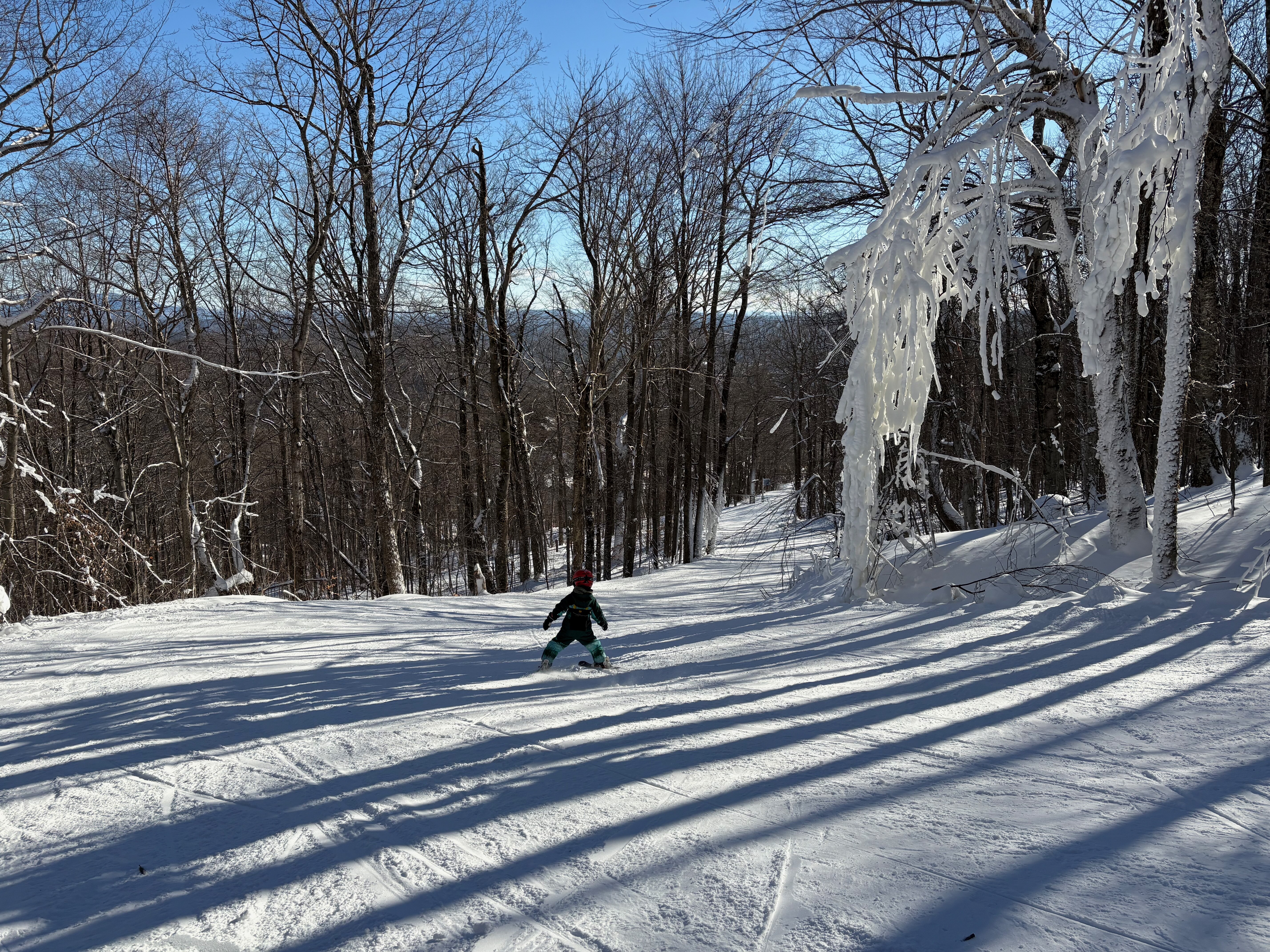 Switchback - Trail of the Day
