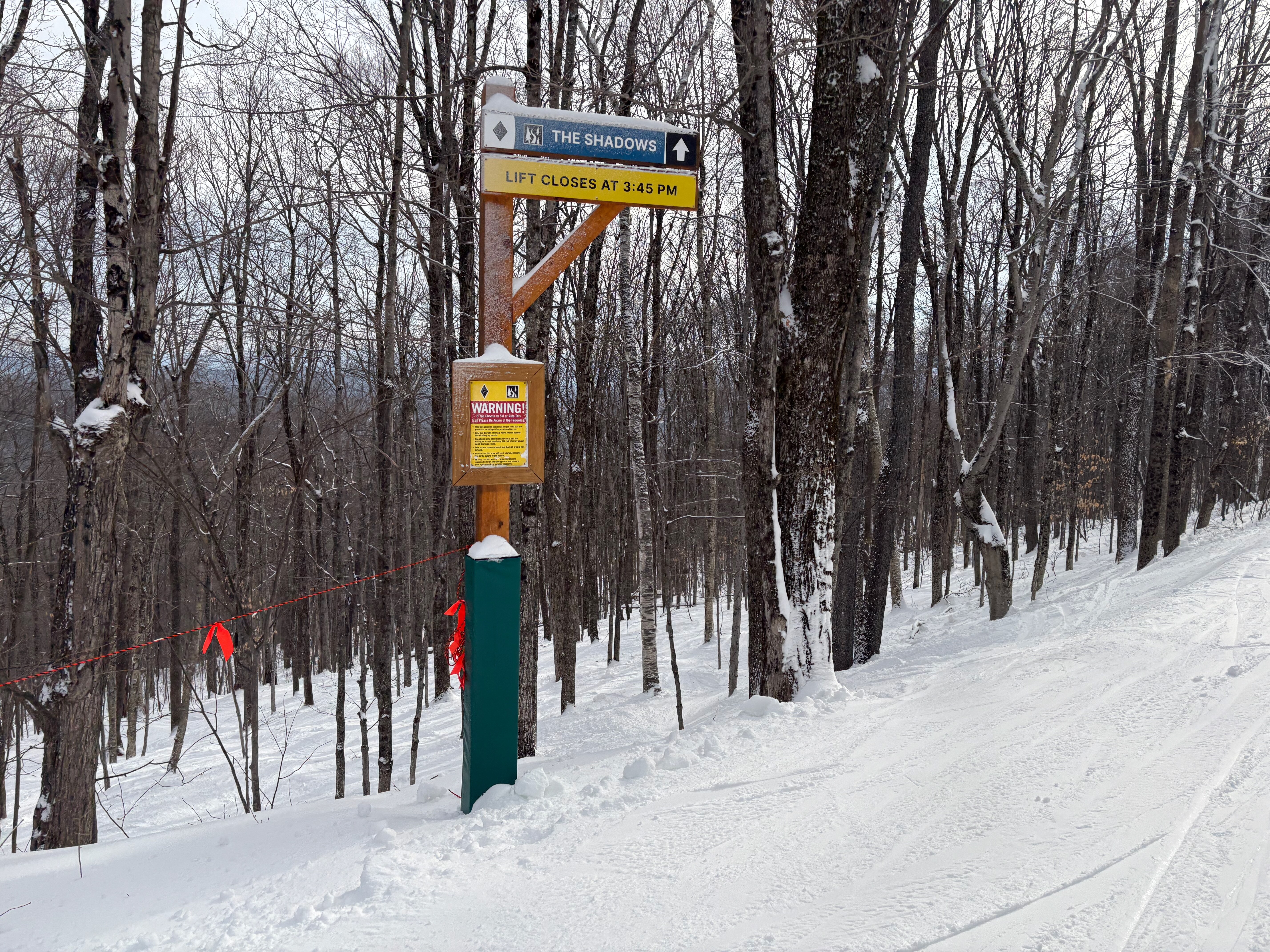 The Shadows - Trail of the Day