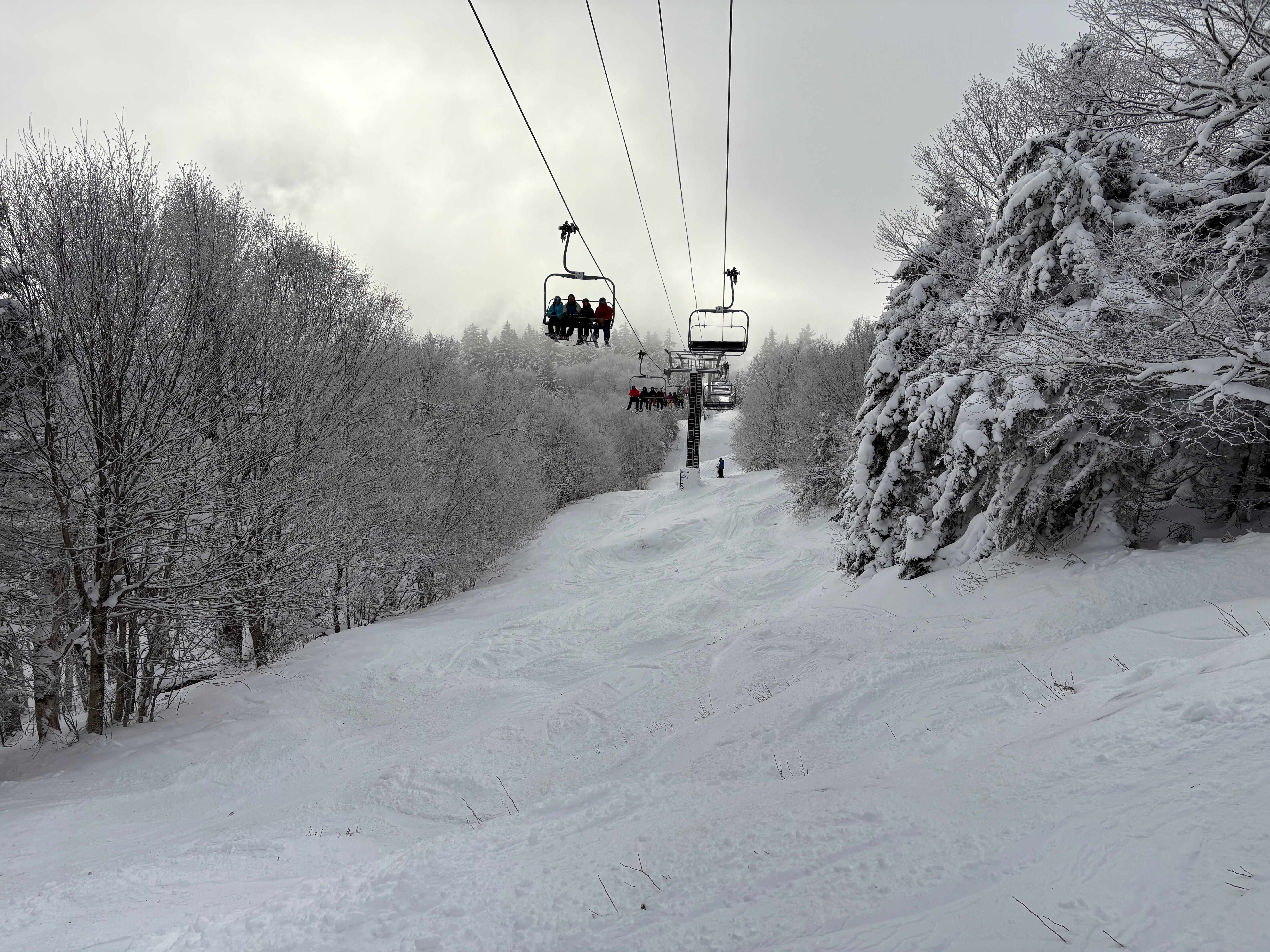 Upper Wild Thing - Trail of the Day