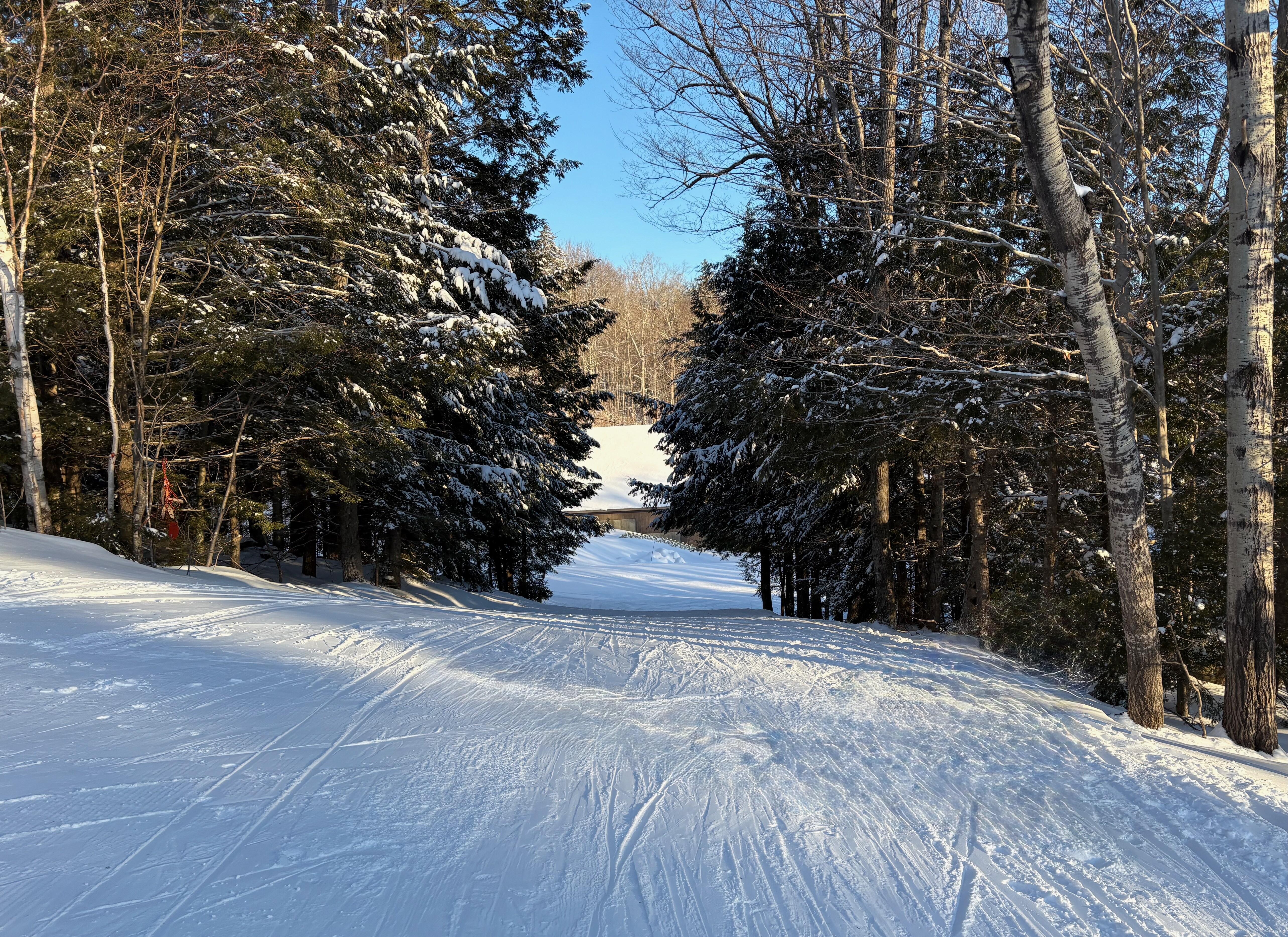 Zip - Trail of the Day